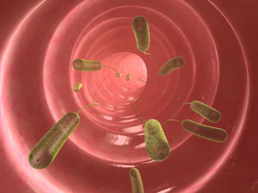 Bağırsak Enfeksiyonu Bulaşıcı mı?