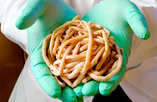 Bağırsak Paraziti İlacı Kullanımı ve Faydaları Nelerdir?