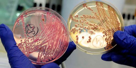 Çocuklarda Bağırsak Enfeksiyonu Belirtileri ve Tedavisi