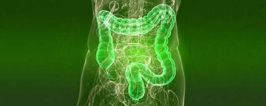 Kalın Bağırsak Temizliği Yöntemleri